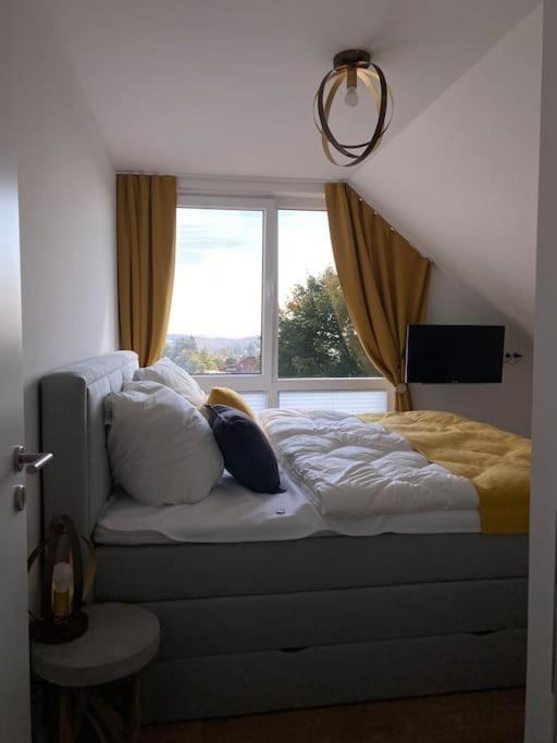 Ferienhaus Mountain View Six50 Mit Sauna Und Kamin In St. Andreasberg ザンクト・アンドレーアスベルク エクステリア 写真