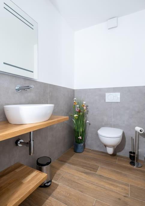Ferienhaus Mountain View Six50 Mit Sauna Und Kamin In St. Andreasberg ザンクト・アンドレーアスベルク エクステリア 写真
