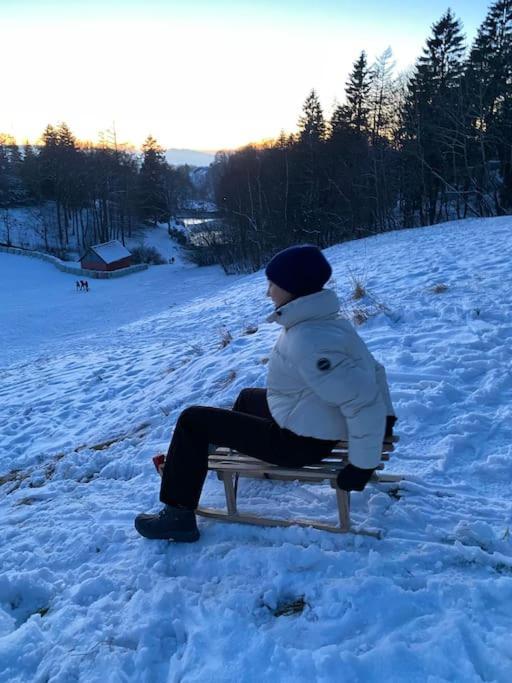 Ferienhaus Mountain View Six50 Mit Sauna Und Kamin In St. Andreasberg ザンクト・アンドレーアスベルク エクステリア 写真