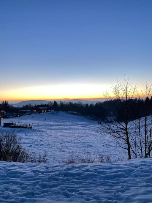 Ferienhaus Mountain View Six50 Mit Sauna Und Kamin In St. Andreasberg ザンクト・アンドレーアスベルク エクステリア 写真